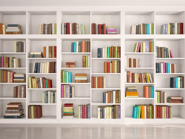 Bookshelf Assembly in Newark