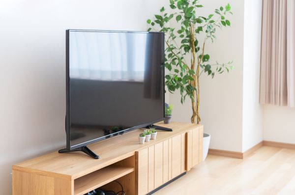 TV Stand Assembly in Newark